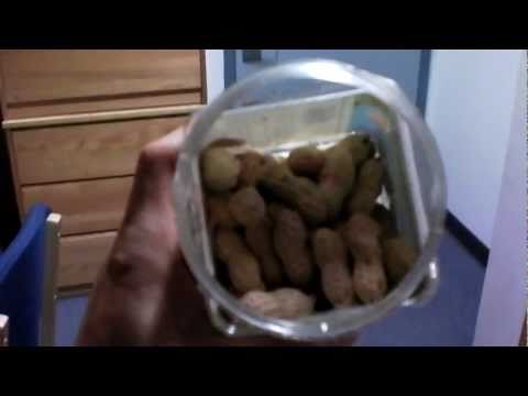 download lagu mp3 mp4 Eating Peanuts Whole, download lagu Eating Peanuts Whole gratis, unduh video klip Eating Peanuts Whole
