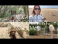 SPEND A FEW DAYS WITH ME / A CAREER MILESTONE & MY FAVOURITE SUMMER MORNING