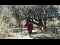 Canto A Monte Quemado Manseros Santiagueños