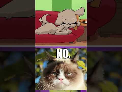 Talking Bella Reacts To Cats 🐱🐱