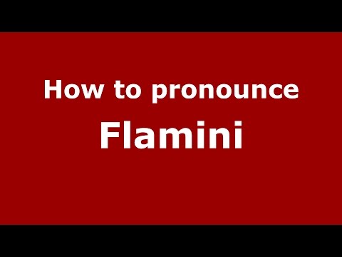How to pronounce Flamini