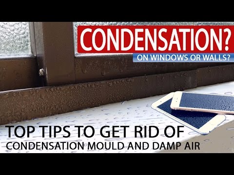 How to Stop Condensation on Windows | Prevent Mould, Damp & Black Stains This Winter