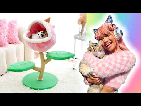 BUYING ONLY CUTE STUFF FOR MY NEW KITTEN! with happyandpolly!