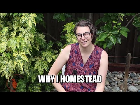 My Urban Homesteading Story. 5 things you can do to grow your own food & embrace zero waste.