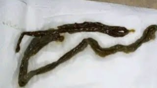 Download lagu Ilumbo/intelezi/yeka Izidakamizwa mp3 Download lagu Ilumbo/intelezi/yeka Izidakamizwa mp3