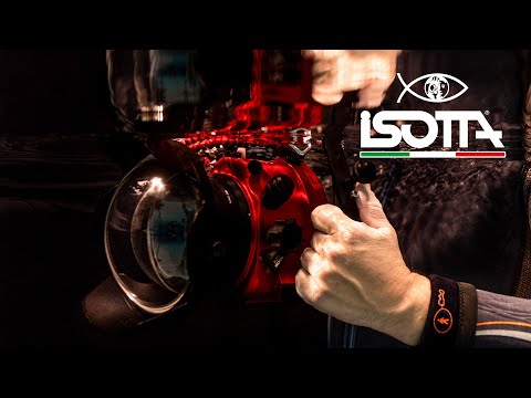 Erfahrungsbericht 1 Jahr Unterwassergehäuse von Isotta für Sony A7Riii und A7iii