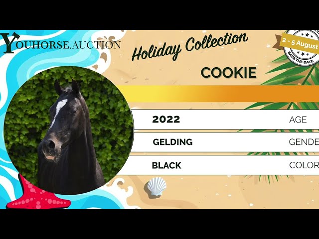 Cookie