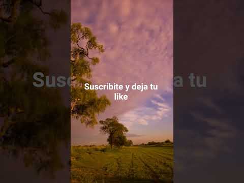 General Ballivian Salta