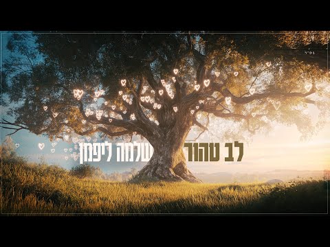 Shlomo Lipman - Lev Tahor [Official Audio] שלמה ליפמן - לב טהור