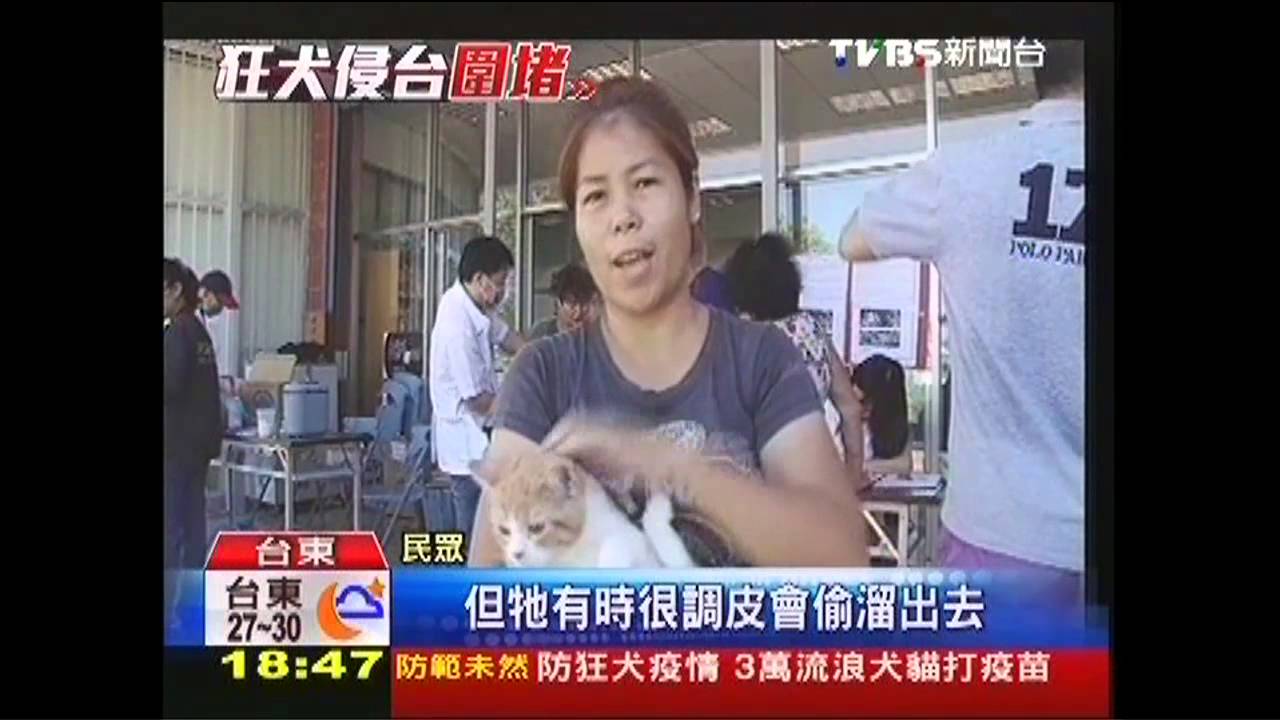 「狂犬」來襲 狗咬果子狸後狂咬飼主