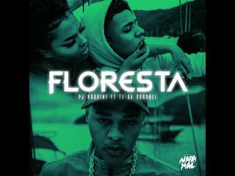 PJ HOUDINI - Floresta feat. Tz Da Coronel (prod.Dallass) [VideoClipe Oficial]