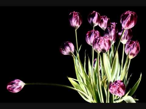 BEBA SELIMOVIC - U SRCU MOME ZIVIS SAMO TI