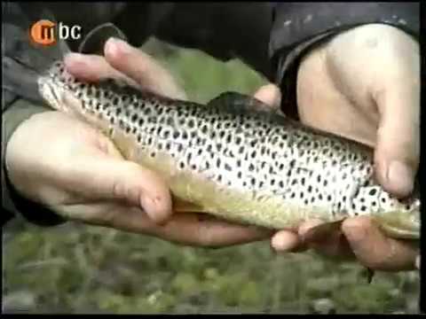 BERANE U RETROVIZORU: NASLOVNA STRANA, prilozi 062 - 071