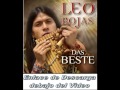 Leo Rojas Disco : Das Beste 2015 