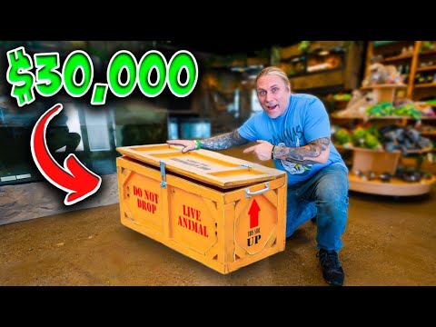 I Bought $30,000 of Snakes! They Just Arrived!