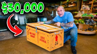 I Bought $30,000 of Snakes! They Just Arrived!