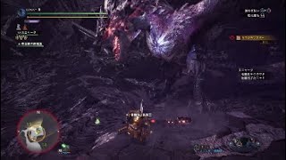 ［アイスボーン］金さん銀さんvs大剣で行ってわからされたオジサン