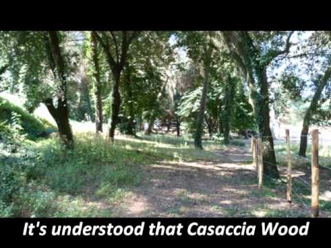 Riccardo Moretti - Alemanization