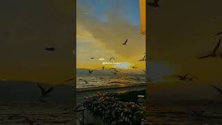 Download lagu Monsoon Has Arrived ☔🎀 || Slowed   Reverb | Lyrics Status 🎧#shortvideo #trending #aesthetic mp3