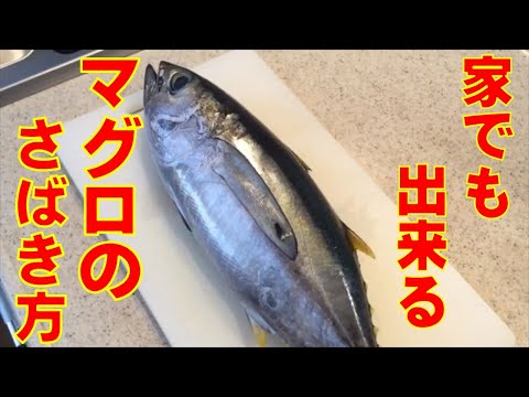 家庭でも出来る【マグロのさばき方】
