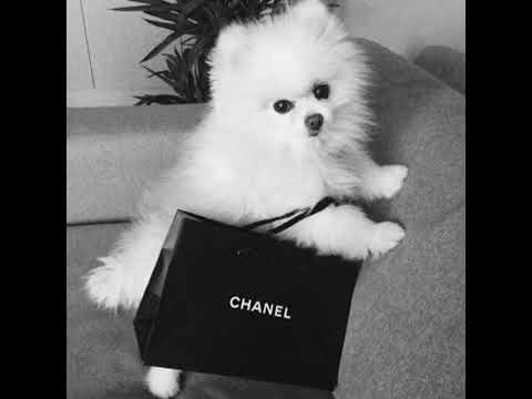 deermonney - on the verge (irlbabee)