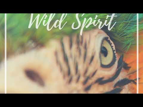 Del - Wild Spirit (Original Mix) Video