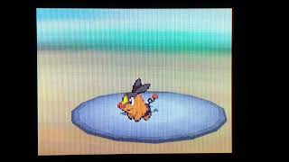 ポケットモンスター　ホワイト　実況プレイ　Part1