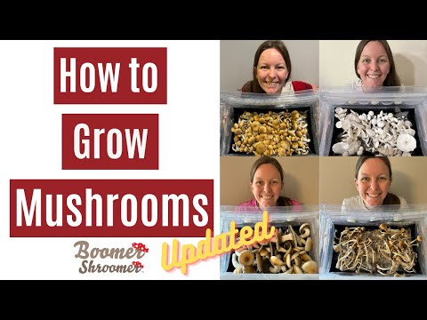 How to Grow Mushrooms UPDATED