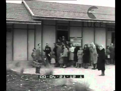 Special guests: Ingrid Bergman.