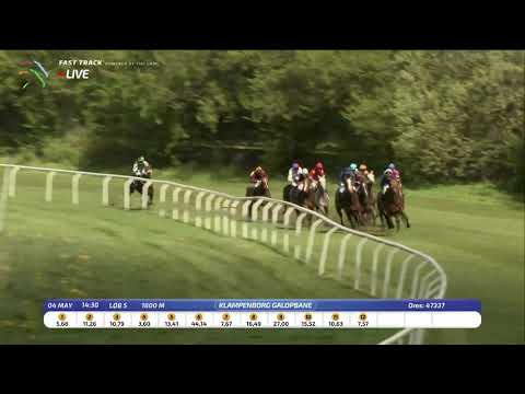 2019.05.04 Dandk Jockey Clup Cup - King David