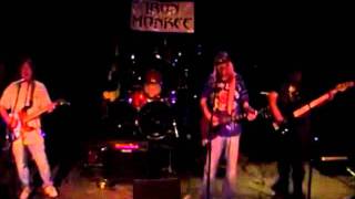 The IRON MONKEE BAND Covering Wild Horses Stones