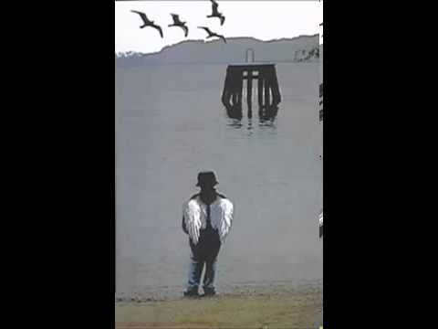 Indio Solari  -  A los pájaros que cantan sobre las selvas de internet