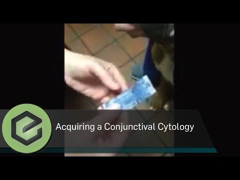 Technique for Acquiring a Conjunctival Cytology Sample