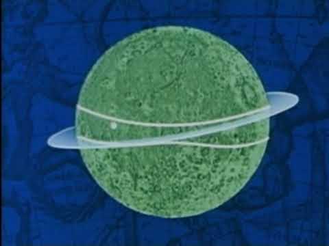 Purple Urchins - Lunar Distance