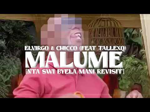 Elvirgo - Malume (Nta Swi Byela Mani Revisit) (Chicco feat. TallexQ) (Visualiser)