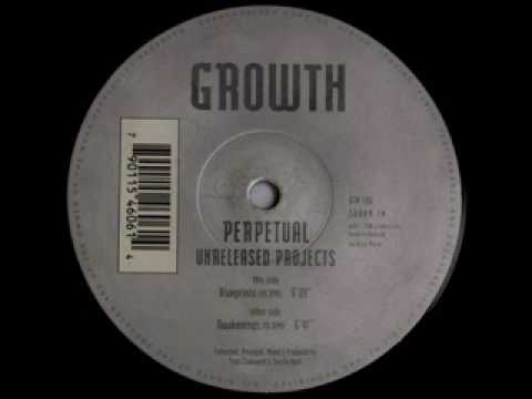 P3RP3TU4L - 8LU3PR1NT5