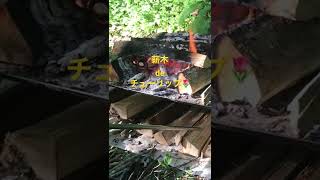 薪木deチューリップ