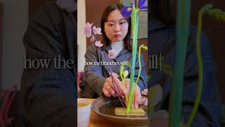 The Fleeting Beauty of Ikebana 🌸