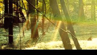 Childish Gambino - You See Me