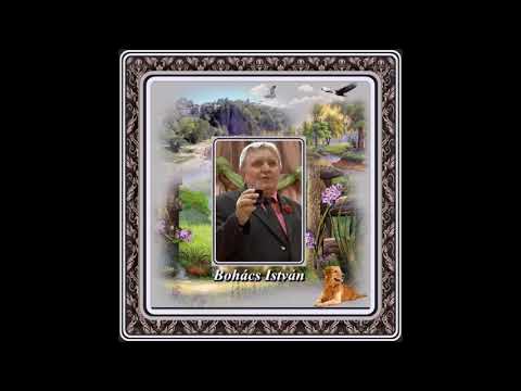 Bohács István : Csínom Palkó