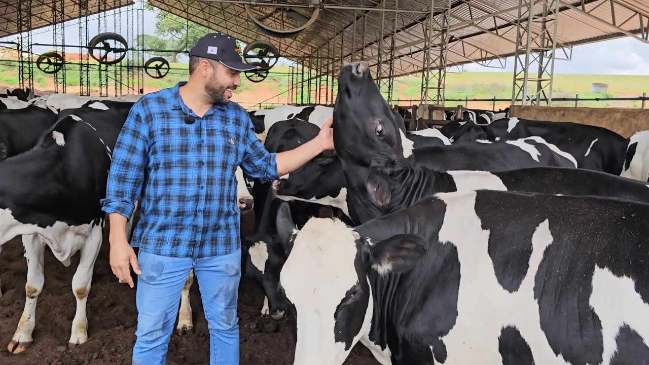 COMEÇOU FAZENDO 3 QUEIJOS E HOJE TIRA 9 MIL LITROS DE LEITE