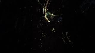 3D Teamlab borderless 目眩神離