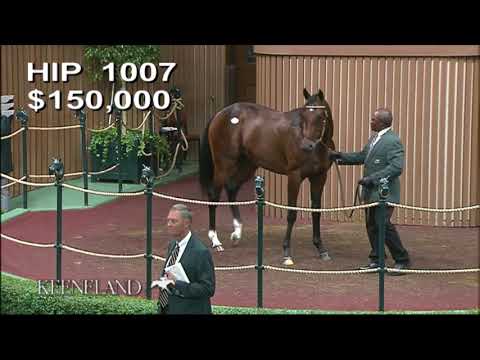 Mckinzie - Hip #1007