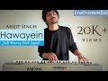Hawayein | Jab Harry Met Sejal | Instrumental with Lyrics | Arijit Singh | Denish Shukla | 2017