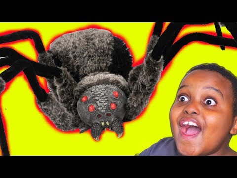 GIANT SPIDER vs Shiloh And Shasha - Onyx Kids