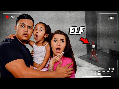 ELF ON A SHELF CAME TO LIFE AT 3AM! 