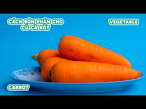 , title : 'Sống Đẹp Vlog | Cách bón phân cho củ cà rốt'