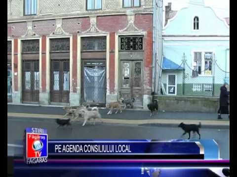 Stiri Fagaras - Pe agenda Consiliului Local