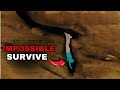 दुनिया का सबसे Emotional And dangerous Cave Rescue | Nutty Putty Cave