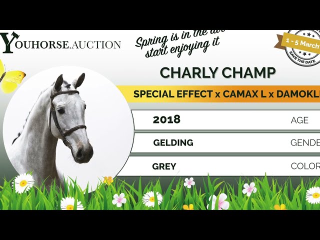 Charly Champ showvideo